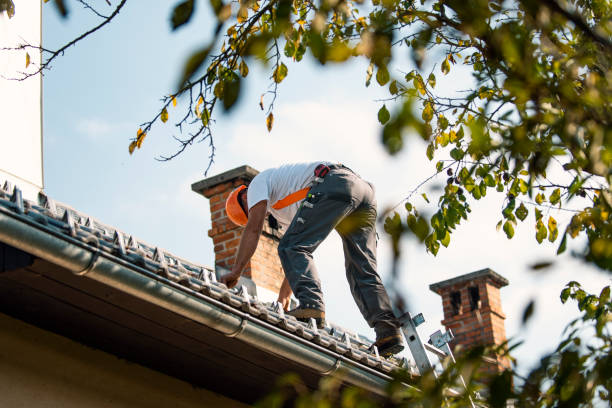 Roof Gutter Cleaning in Browns Mills, NJ