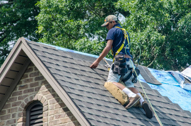 Best Gutter Installation and Roofing  in Browns Mills, NJ