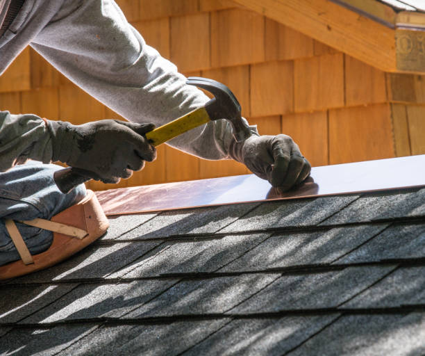 Best Roof Gutter Cleaning  in Browns Mills, NJ